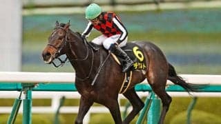 【金鯱賞想定騎手】デシエルトは武豊騎手、プログノーシスは西村淳也騎手