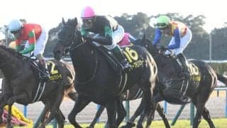 【AI予想・金鯱賞】関西馬が好成績を残す中京名物重賞！ 本命候補は距離適性に魅力を感じる3頭