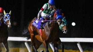 【大井・フジノウェーブ記念枠順】重賞連勝中のアウストロは6枠11番