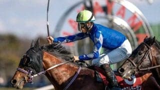 産駒の馬場適性も“二刀流”？ モズアスコットの血統傾向を深堀り