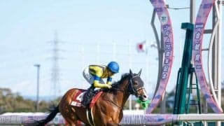 金鯱賞は今年60歳の“還暦” 1965年が第1回のものは