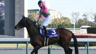 連対率は脅威の40％超え “ダートのミスターメロディ”が今年の血統トレンド