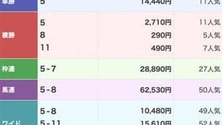 水沢競馬で3連単817万1760円の大波乱 岩手競馬の最高配当を約300万円更新