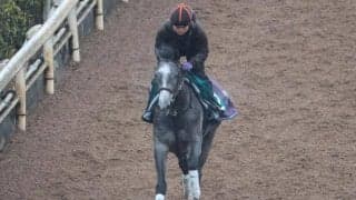 カレンショーなど、先週の入厩情報/栗東トレセンニュース