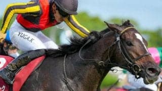 川田将雅騎手が史上最多タイの金鯱賞5勝目へ 過去8戦全て騎乗の重賞2勝馬とタッグ