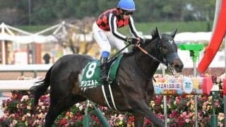 【金鯱賞予想オッズ】デシエルトが予想1番人気