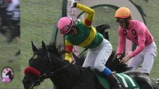 【阪神SJ予想オッズ】エコロデュエルが予想1番人気