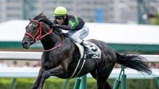 【スプリングS予想オッズ】キングスコールが予想1番人気