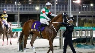 【ダイオライト記念】昨年Vのセラフィックコールは8枠13番へ