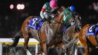 【船橋・京成盃グランドマイラーズ結果】フォーヴィスムが差し切って重賞連勝！