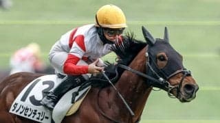 【スプリングS展望】ダノンセンチュリーの無傷連勝を期待