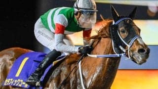 【船橋・ダイオライト記念注目馬】数少ないダートの長距離戦 “リピーター”の好走に要注意