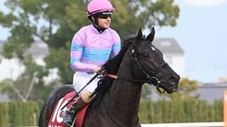 【高松宮記念想定】ナムラクレア、ルガルなど19頭