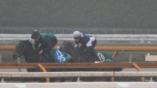 パンジャタワー、ファルコンS1週前追い切り速報/栗東トレセンニュース