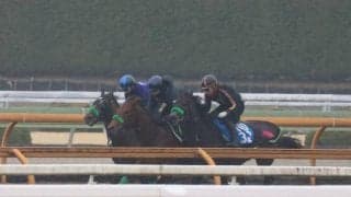 ジョバンニ、若葉S1週前追い切り速報/栗東トレセンニュース