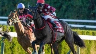 16年ぶりJRA重賞Vへ ローレルレーシングがウインブライト産駒でスプリングSに参戦