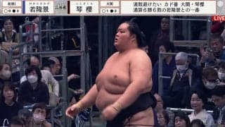 「マニアですね」人気タレントの“ガチすぎる”大相撲観戦スタイルが話題 “二刀流”に元力士も驚き「相撲好きやもんな」ファン共感