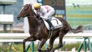 【スプリングS予想】伏兵の台頭目立つも人気馬軽視は危険 AIは“キャリアの浅い”一頭を推奨