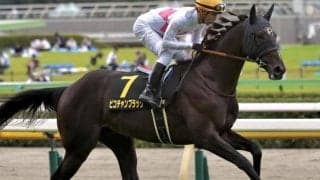 母のきょうだいに活躍馬ズラリのキタサンブラック産駒 血の後押し受けて重賞初Vだ