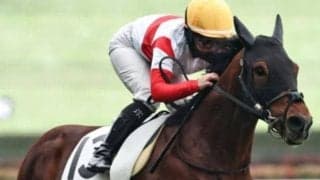 2月に新馬V飾った2.1億円フィエールマン産駒 スプリングSで父に初タイトルを届けるか