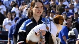 「日本が特別な国になるように」真美子夫人は同僚妻に粋な“差し入れ”が話題 自身はLA留守番「文化、食べ物、経験を楽しんで」