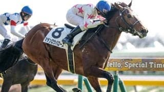 3年連続無敗馬Vなるか 今年は3頭の素質馬たちがスプリングSに挑む