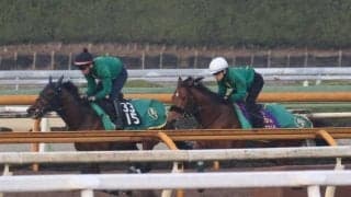 ベラジオオペラ、大阪杯追い切り速報/栗東トレセンニュース