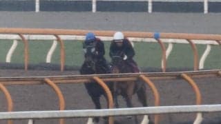 クラスペディア、ファルコンS1週前追い切り速報/栗東トレセンニュース