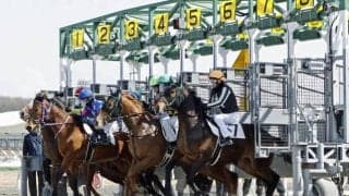 ホッカイドウ競馬で今年最初の能力検査 新種牡馬の産駒含む178頭が合格