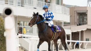 【大井・フジノウェーブ記念】売得金は前年比85.5%…イグザルトが圧勝