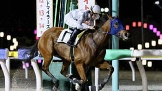 【船橋・フレンドリービット特別】ジャスティファイ産駒のローリーグローリーが5馬身差の圧勝
