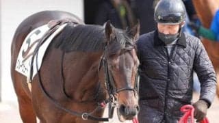 エアグルーヴ一族初の障害重賞Vなるか 7歳の曾孫が阪神SJで一発狙う