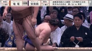 青い目のイケメン力士が愕然 「なに捻り？」幕内ベテランの“妙技”にファン驚嘆