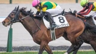 ディープインパクト×スイープトウショウ “最後の仔”が土曜阪神でオープン入り目指す