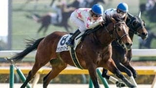 【スプリングS枠順確定】マテンロウバローズは6枠8番、ダノンセンチュリーは1枠1番