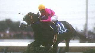 名牝系出身ビビデバビデブーが初陣Vへ 馬名由来は「夢が叶う魔法の言葉」