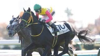 血統的には大歓迎 道悪のスプリングSで浮上する伏兵候補とは