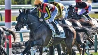 名牝ブエナビスタの8番仔 良血馬の素質披露で初勝利なるか
