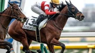 近10年の単勝回収率273％ スプリングSで期待大の“狙い”の馬番とは