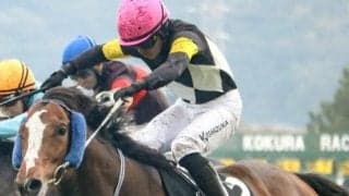 金鯱賞で注目の道悪巧者 出走馬で唯一「重・不良」で勝ち鞍がある一頭とは