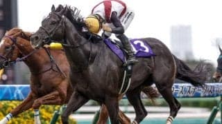 【高松宮記念想定馬・騎手】ルガル、ナムラクレアなど19頭