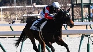 中山芝は内がベター アネモネSは最内トワイライトシティに期待