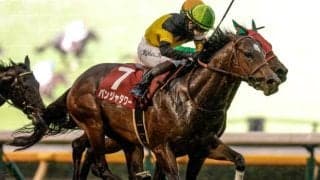 【ファルコンS想定馬・騎手】パンジャタワー、クラスペディアなど23頭