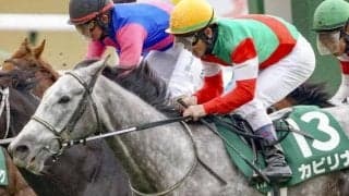 【愛知杯想定馬・騎手】カピリナ、スウィープフィートなど20頭