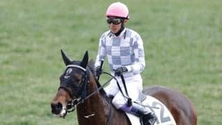 武豊騎手 今週の騎乗馬…ドウデュース半弟・エンダードラゴンが出走