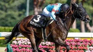 小倉牝馬S覇者シンティレーションが登録抹消 今後は繁殖入りへ