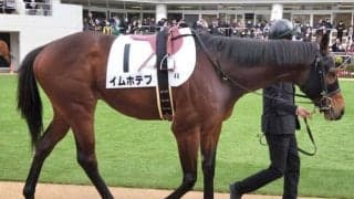ダート界の新星誕生なるか 前走同舞台で9馬身差Vの期待馬が無傷2連勝狙う