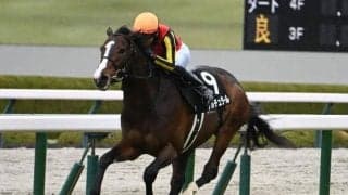 【ゆきやなぎ賞結果】ゲルチュタールが好位から抜け出しV