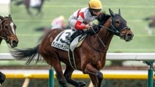 【スプリングS予想】前走1勝クラスを勝ち上がった馬に高期待値！ 前走が新馬や未勝利だった馬は苦戦傾向
