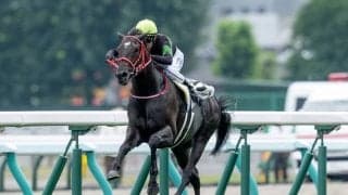 【スプリングS前日オッズ】キングスコールとピコチャンブラックが4.2倍で1番人気